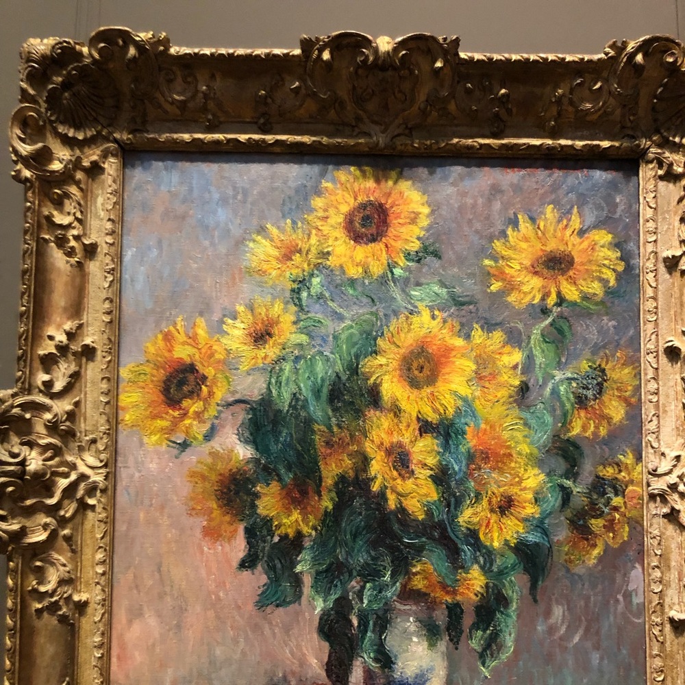 Meet your Posher, Shannon